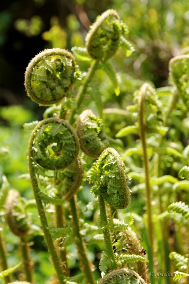 20120624_369